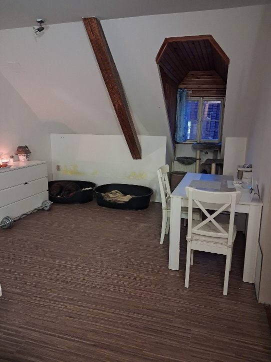 Pronájem bytu 3+KK - 6