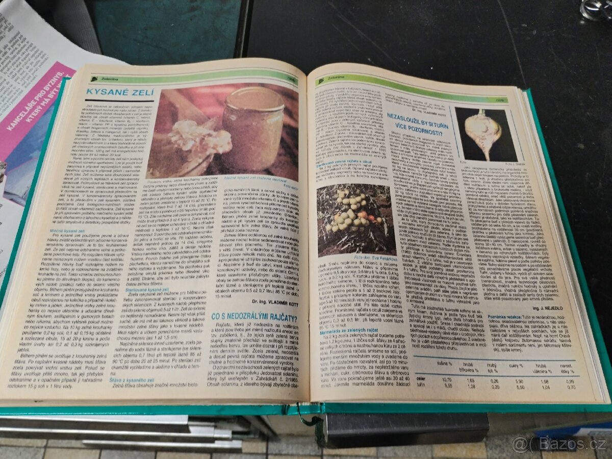 Zahrádkář celý ročník 1989 - 6