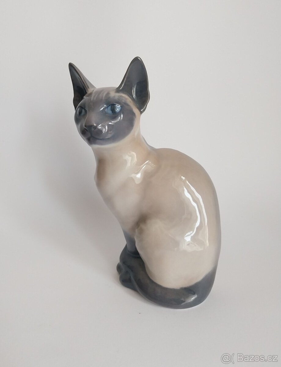 Královská Kodaň - siamská kočka - 6