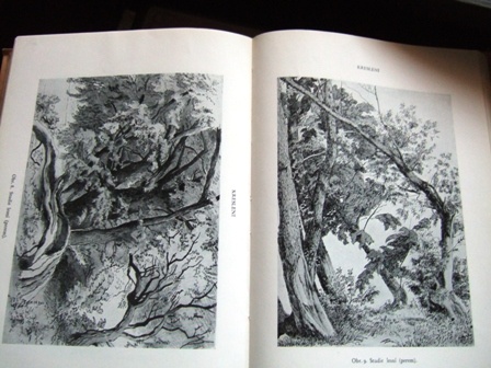 Horák - Vtip a humor, Engelmúller, - 6