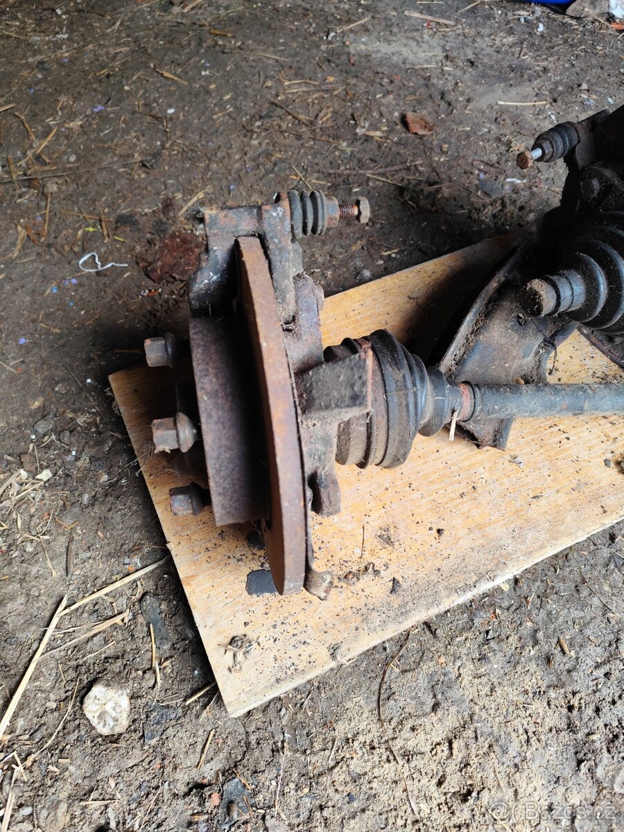 Felicia kotouče - 6