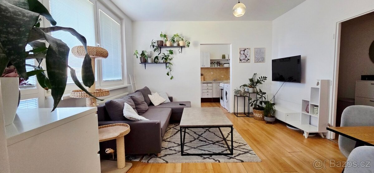 Pronájem 2+1 Na Valtické - 6