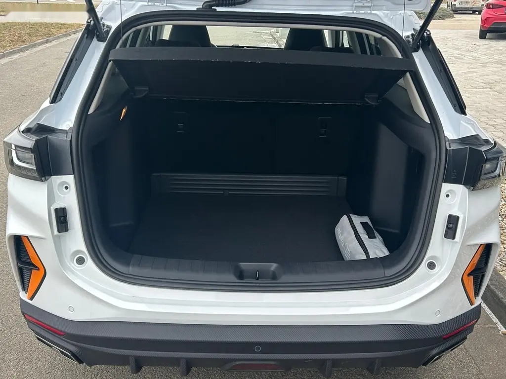 Dongfeng Shine, SHINE GS - 6