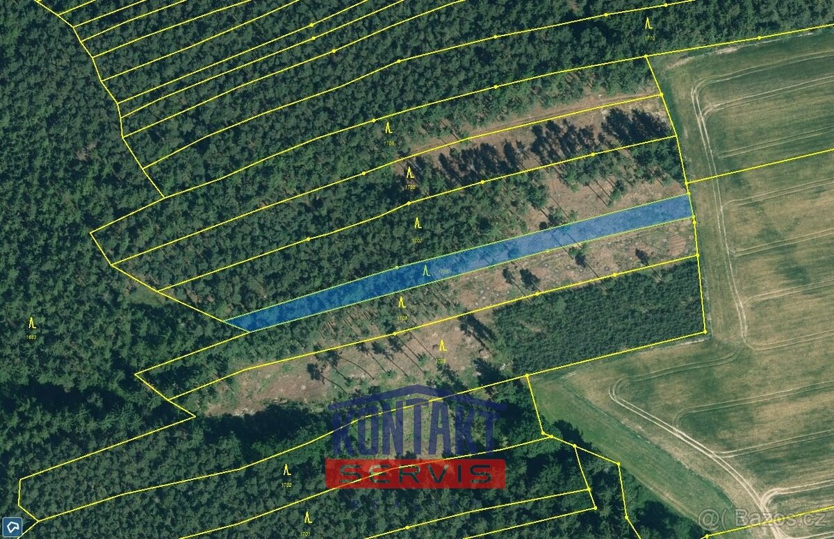 Prodej unikátních lesních pozemků v katastrálním území Hodyn - 6