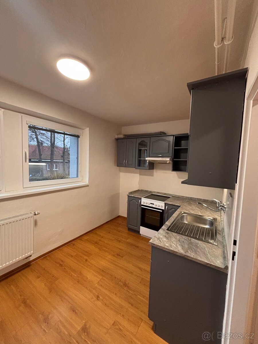 Pronájem, byt 1+1, Dolní Libchavy - 6