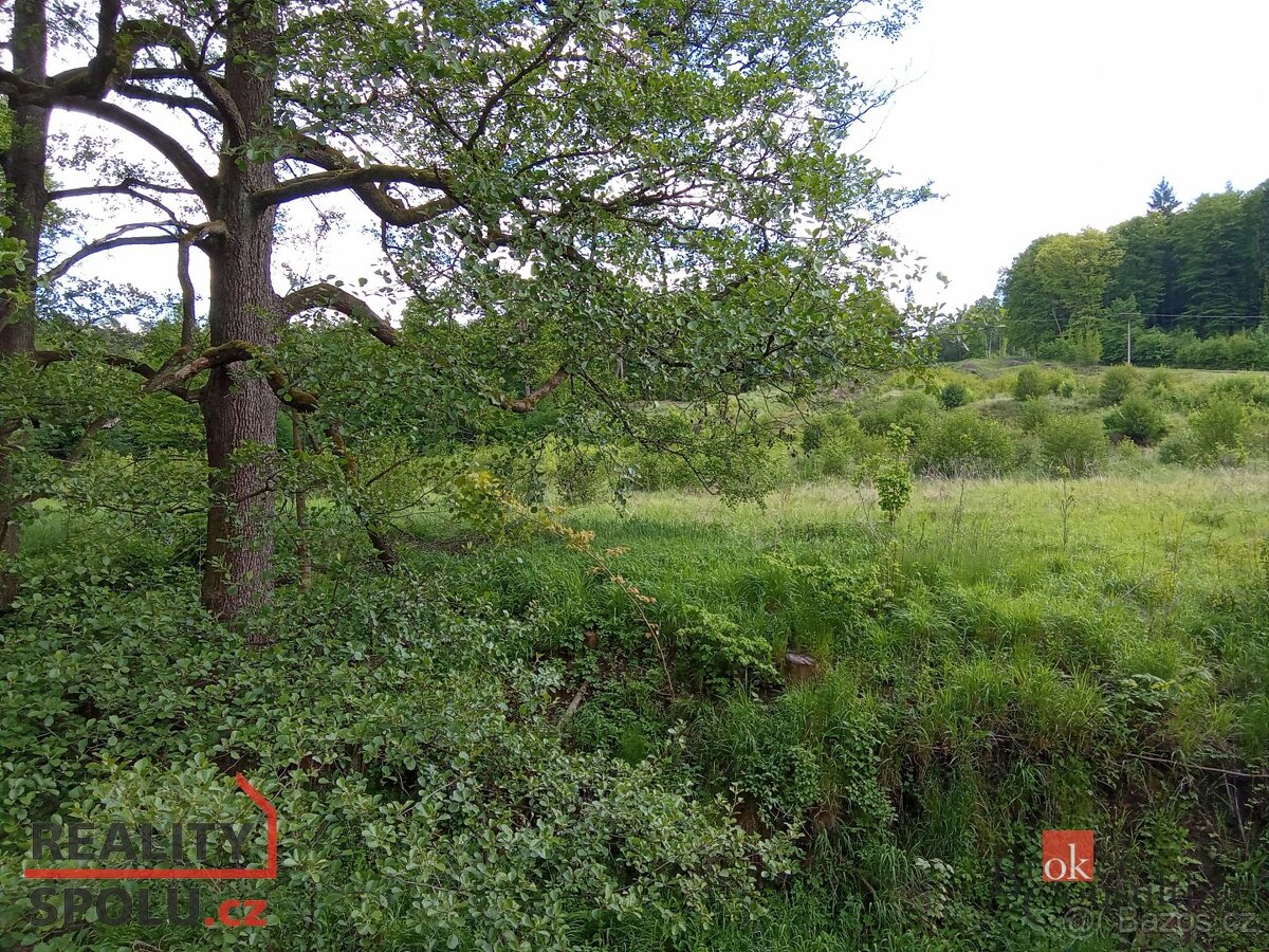 Prodej, pozemky/bydlení, 22894 m2, 40502 Janská, Děčín [ID 6 - 6