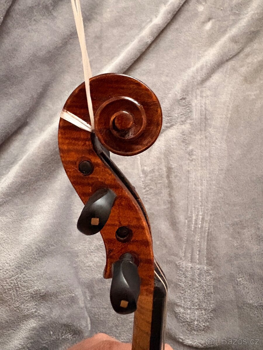 Viola 39 - 6