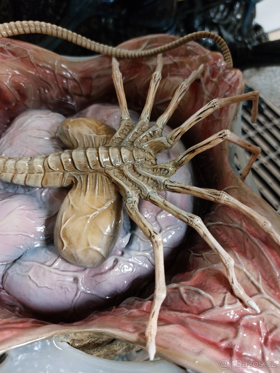 Alien Warrior Prime 1 Studio - 6