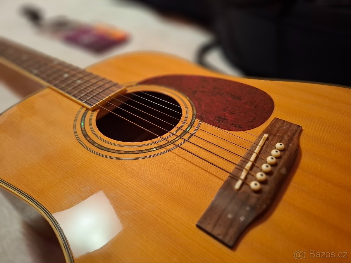 Akustická kytara Sanjin ADG 300 masiv - 6