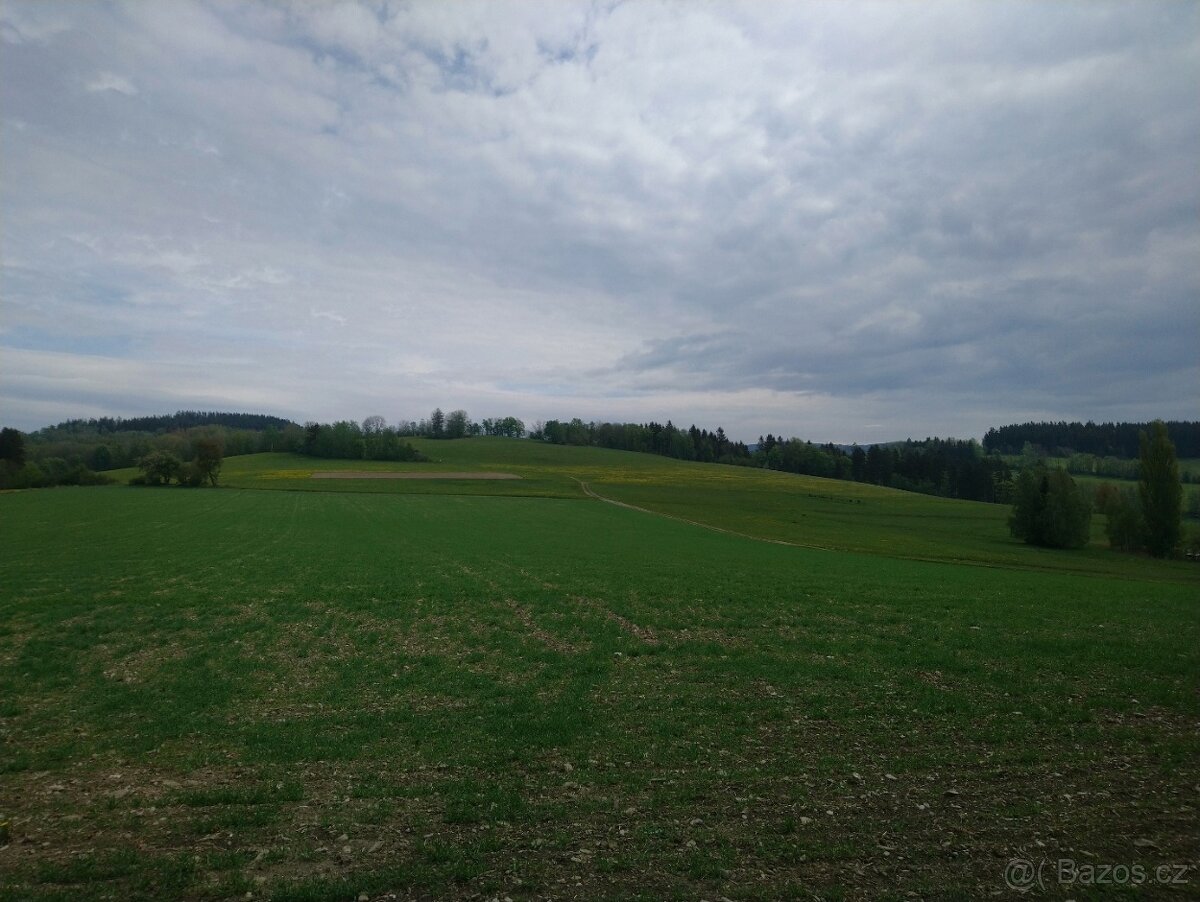 Zemědělské pozemky 5,6 hektarů louka Jilemnice Krkonoše - 6