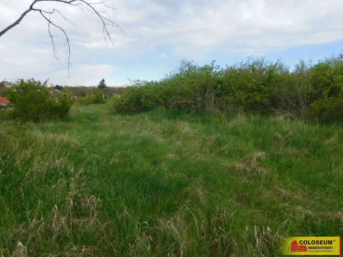 Znojmo, zahrada 473 m2, elektřina, voda, ovocné stromy - zah - 6