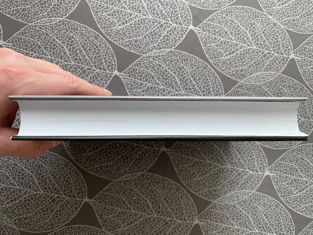 Nová kniha Lou Reed - Život - Anthony DeCurtis - 6