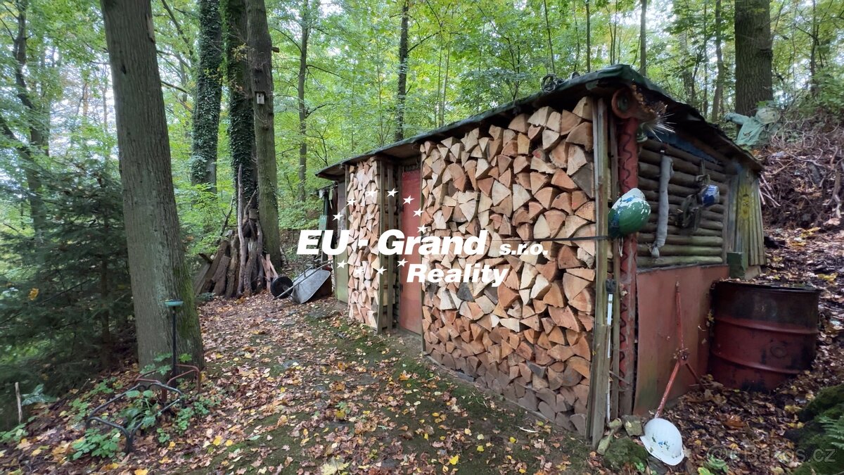 Prodej rekreační chalupy s dlouholetou klientelou – Nová Ves - 6