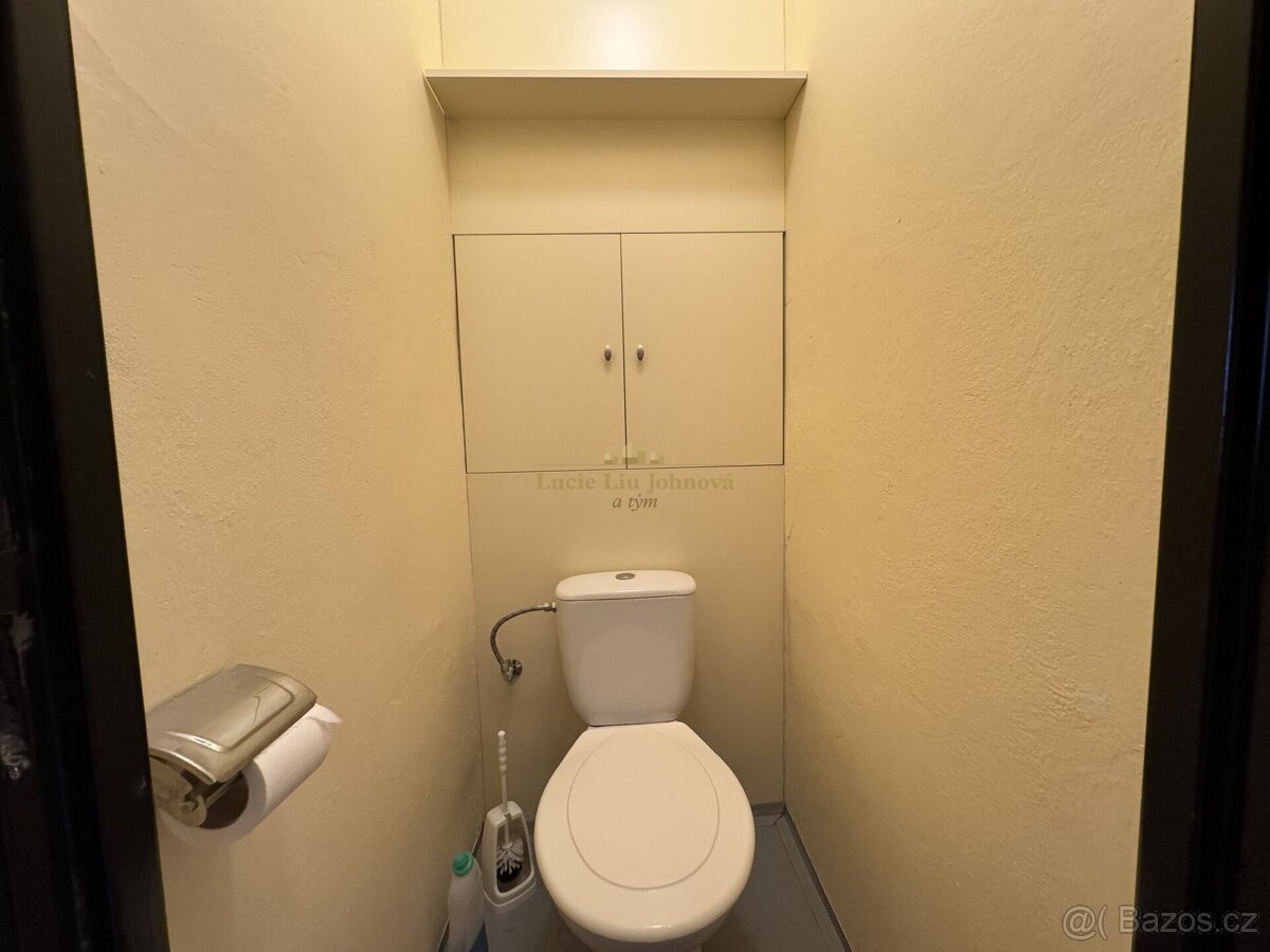 Prodej bytu 1+kk, 25 m2, OV, sklep, ulice Jabloňová, Praha 1 - 6