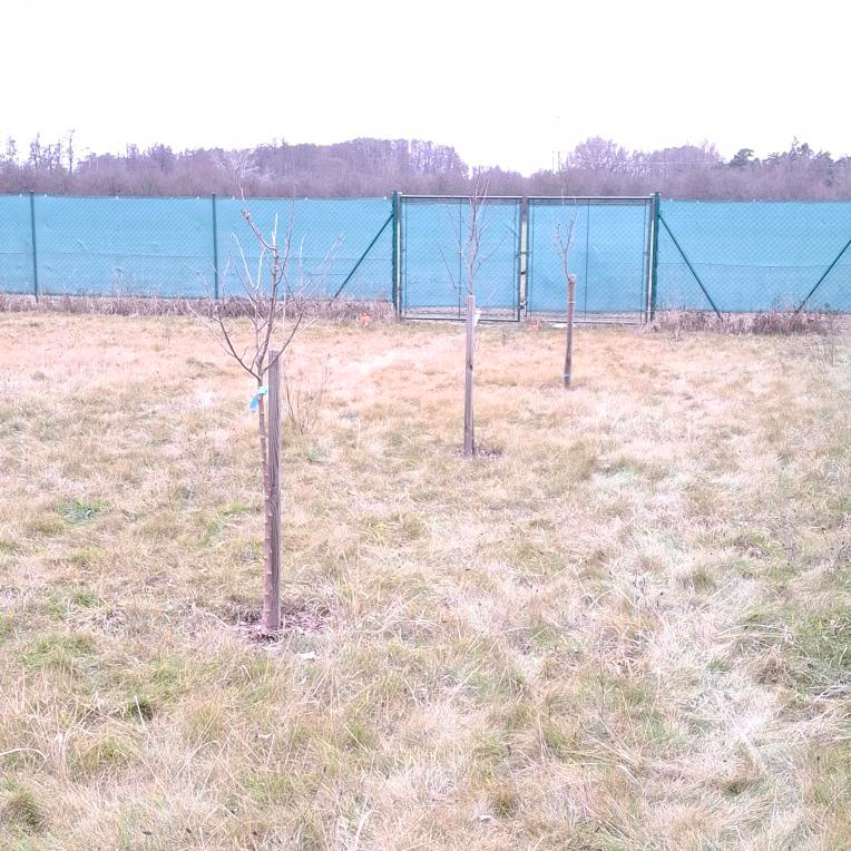 Zahrada Olomouc - Řepčín 535 m2 - 6