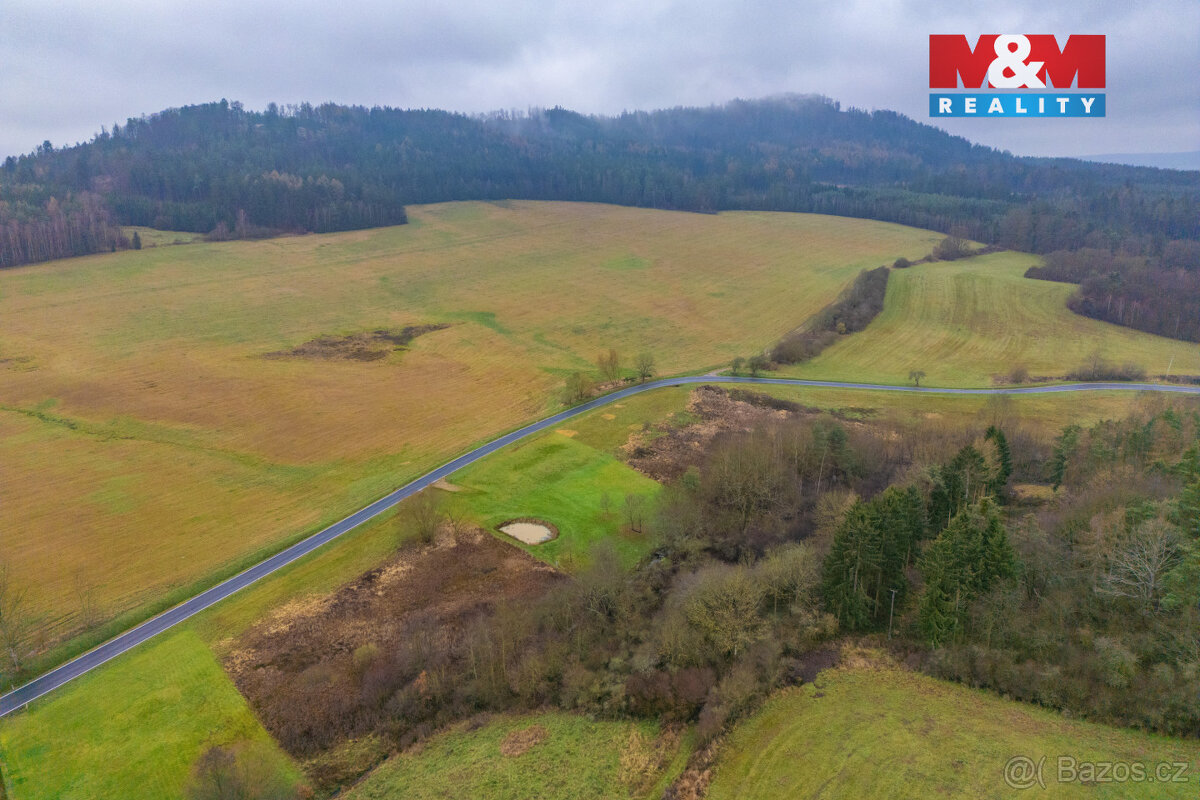 Prodej louky, 6272 m², Hůrky - 6