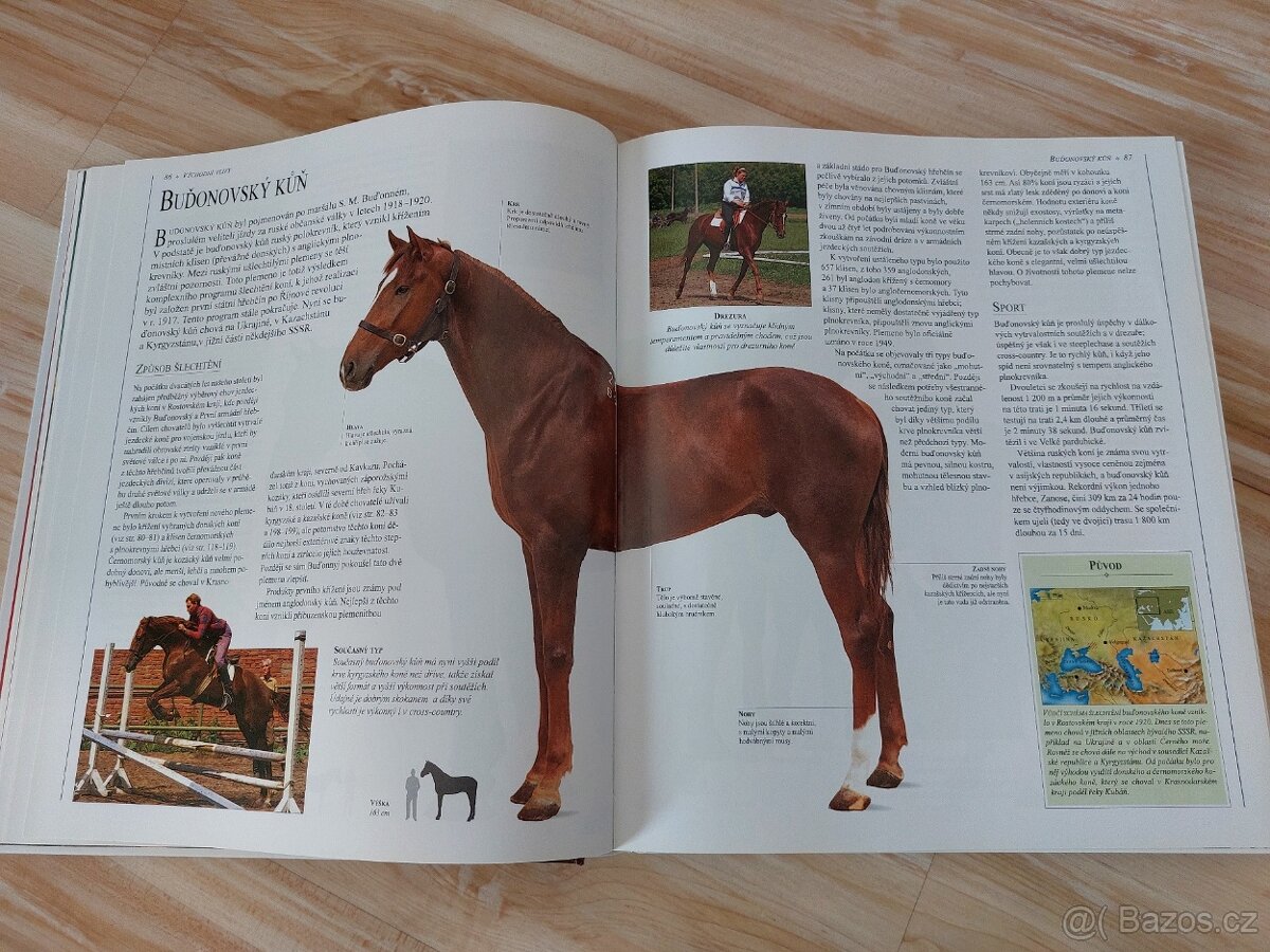 Encyklopedie koni - 6