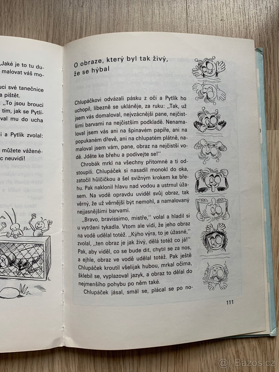 Kniha - Brouk Pytlík - 6