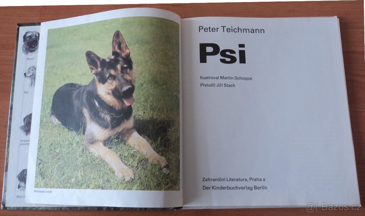 Psi, Stavby zvířat - 6