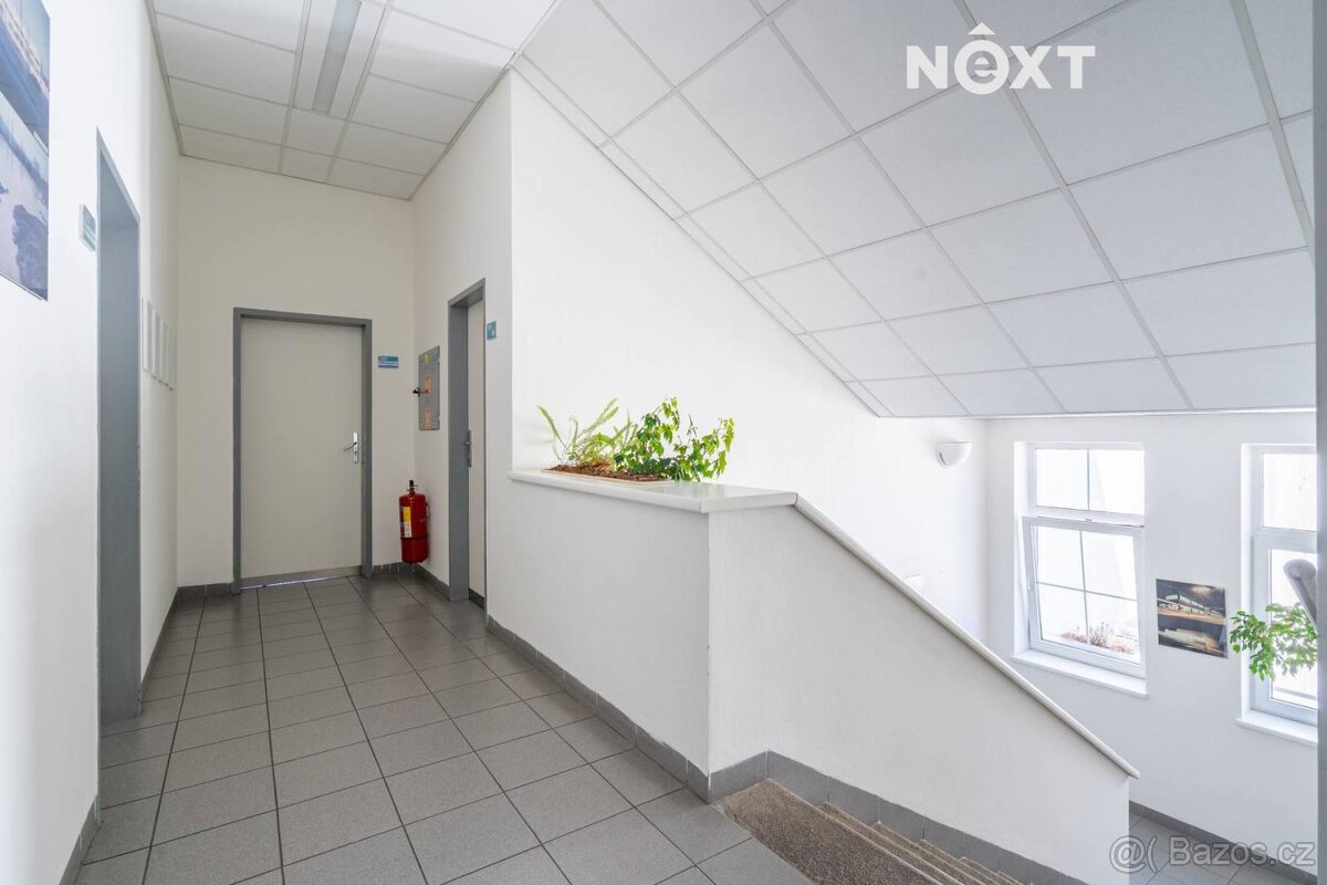 Prodej komerční Činžovní dům, 784㎡ - 6