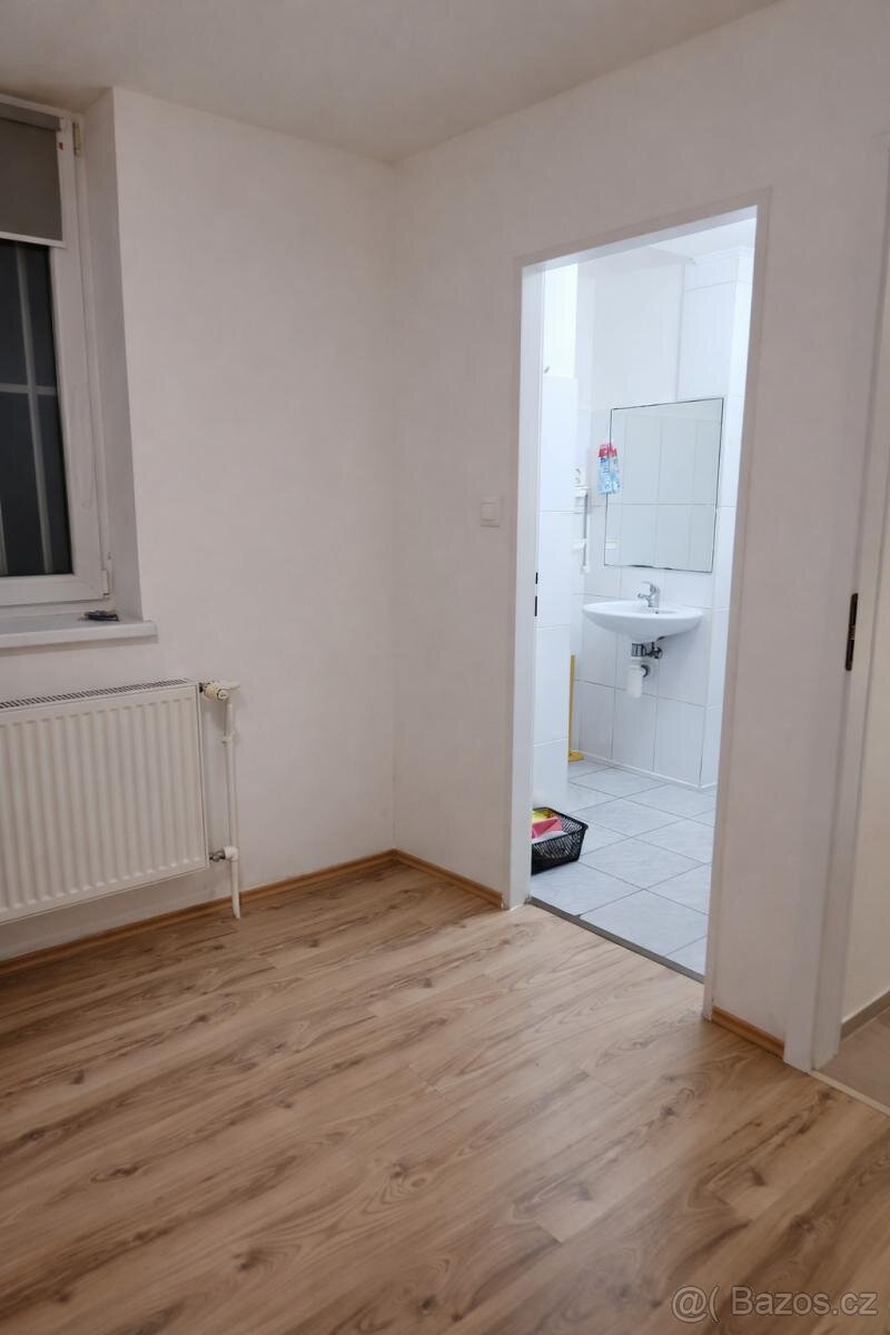 Pronájem bytu 1+1, Praha 4, Nusle - 6