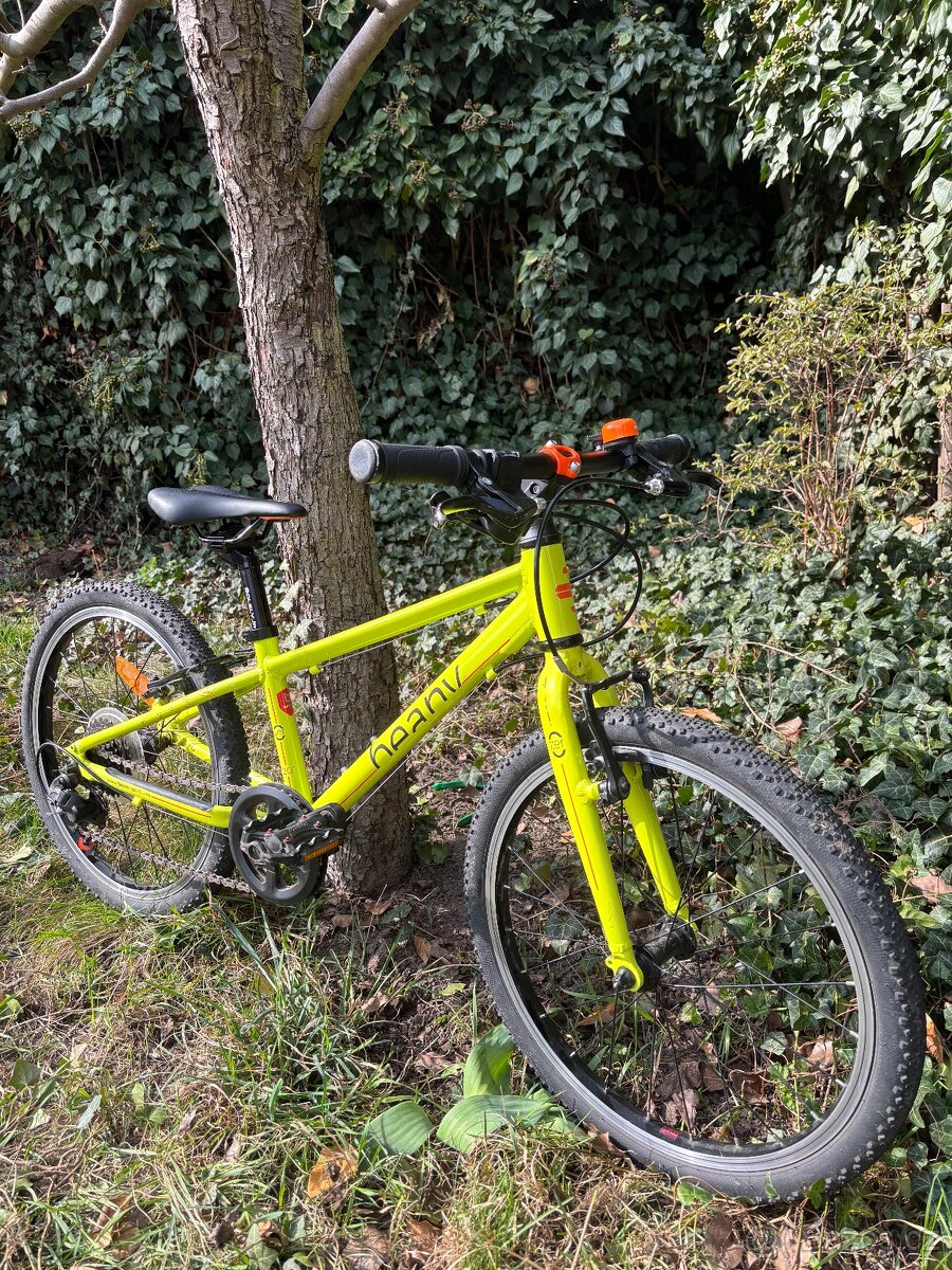 Beany Zero 20 – lehké dětské kolo - 6