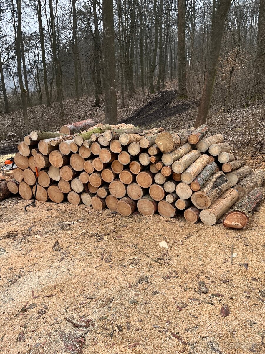 PRODEJ PALIVOVÉHO DŘEVA - 6