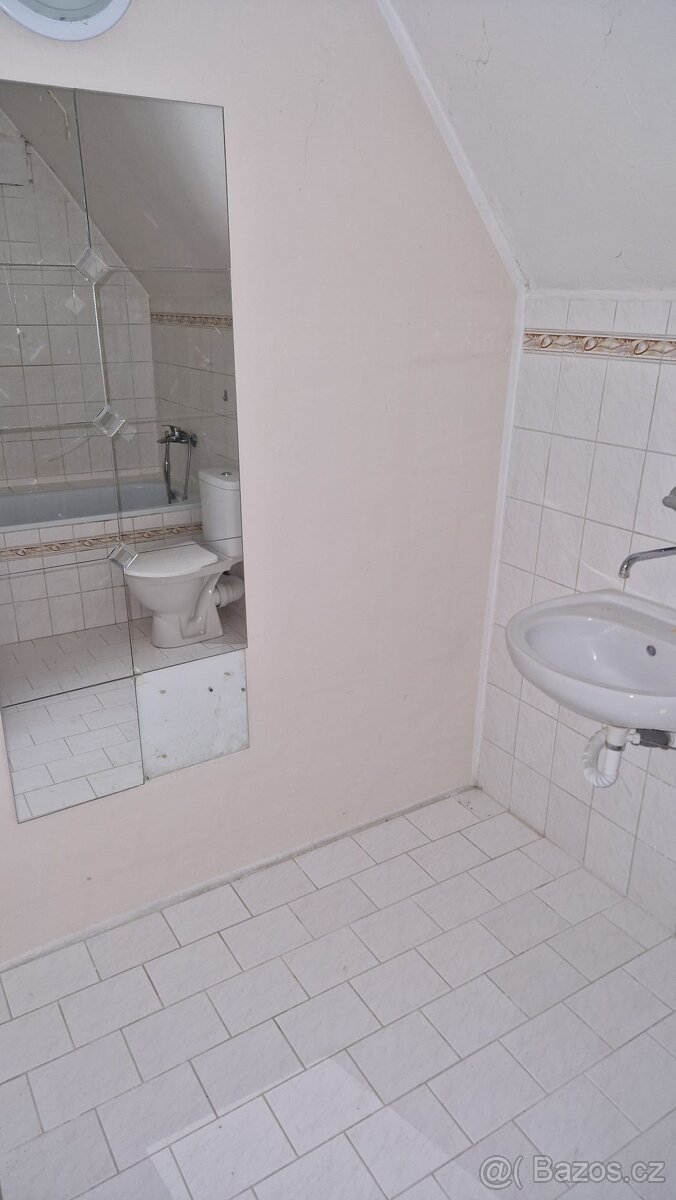 Pronájem domu 4+kk, Dolní Beřkovice, Mělník - 6