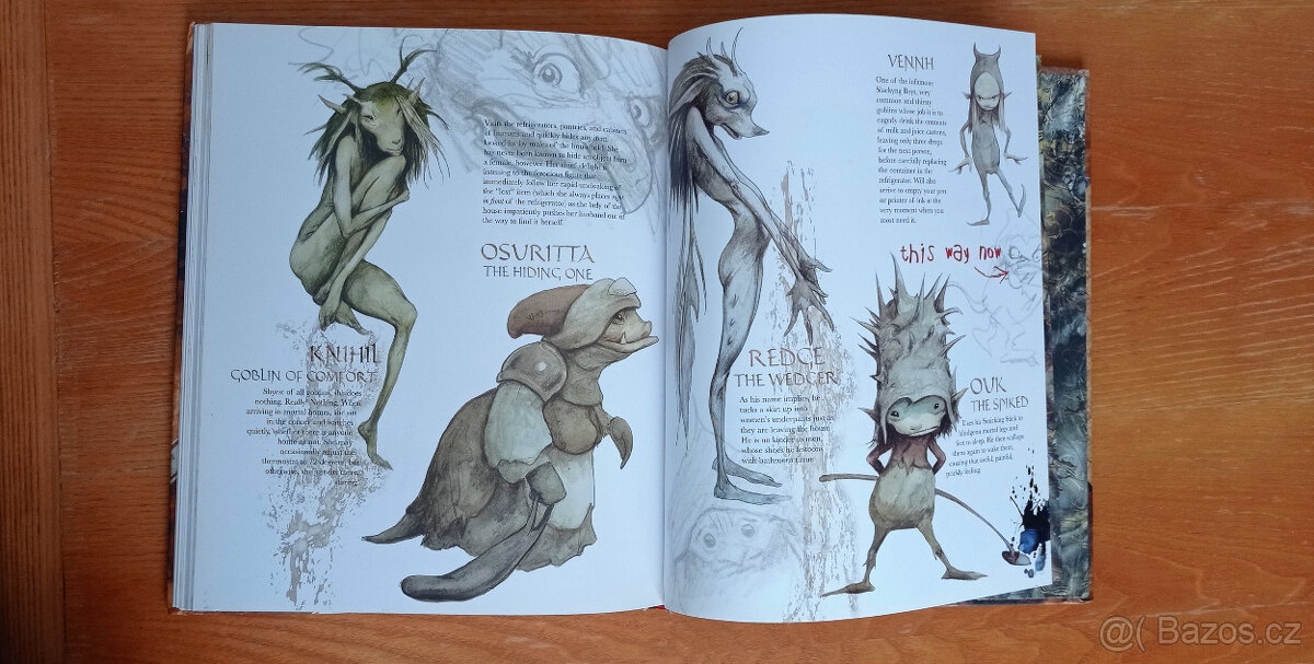 Brian Froud - velké knihy ilustrací víl a skřítků + karty - 6