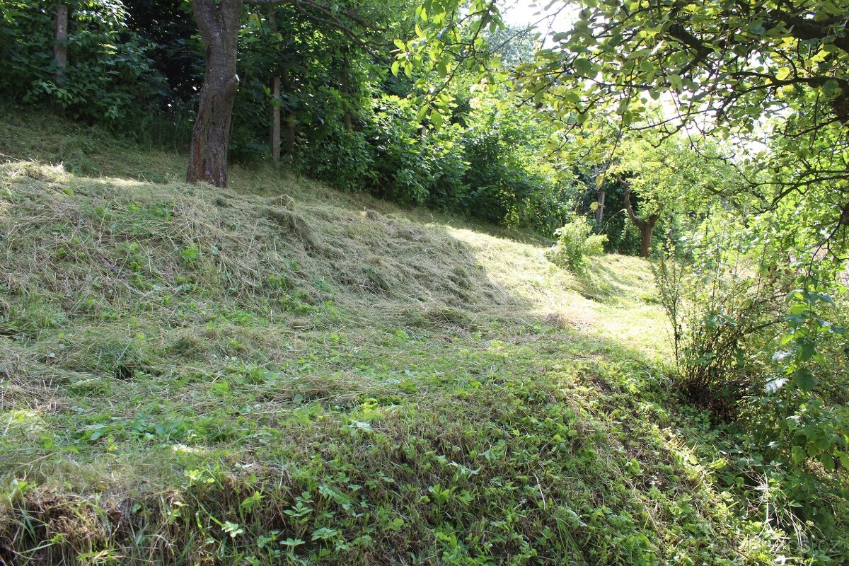 Sečení trávy křovinořezem a sekačkou - Rakovník. - 6
