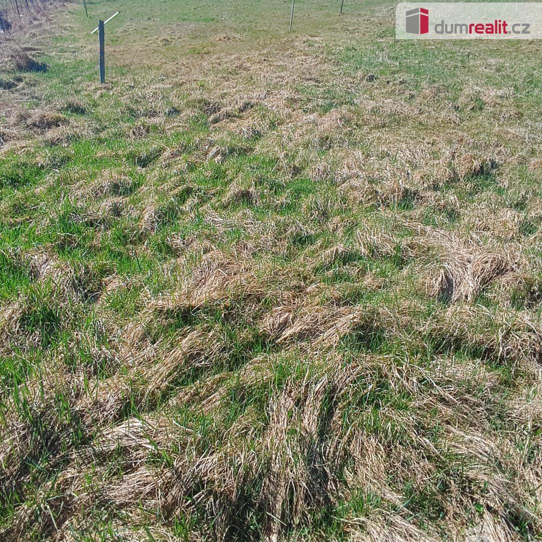 Prodej pozemku o rozloze 1263 m2 určeného k zastavění, Fojto - 6