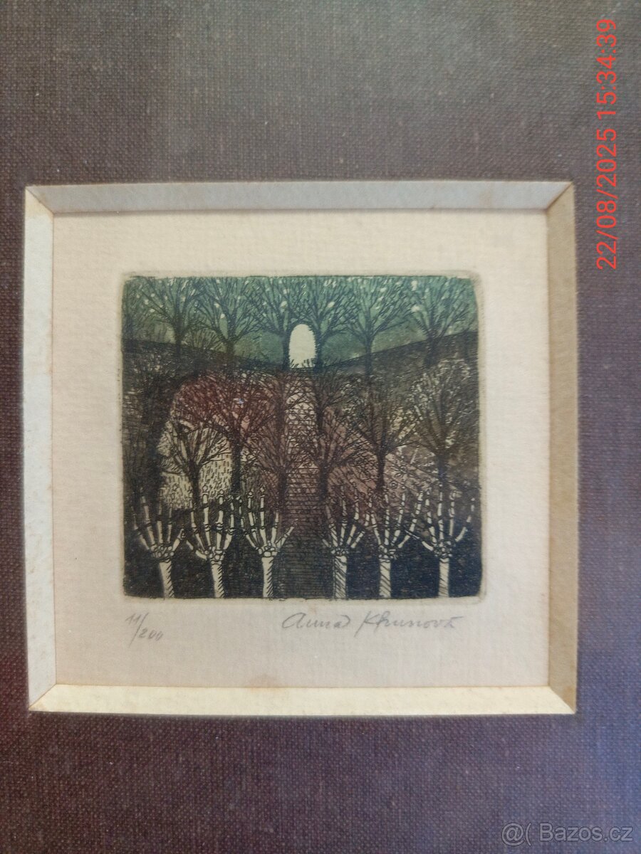 Grafika Anna Khunová. - 6