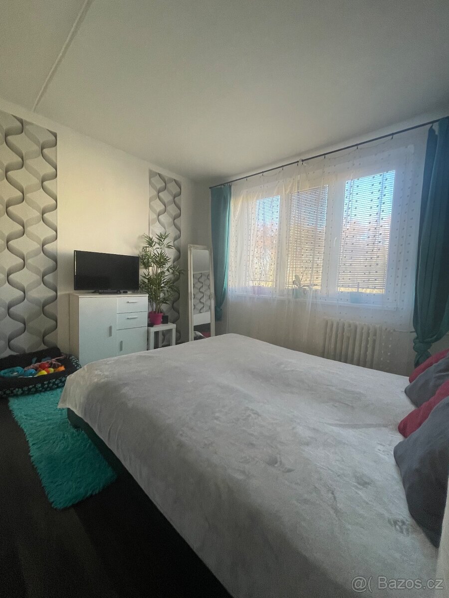 Prodej bytu 3+1, 65m2, U Koupaliště Chodov - 6