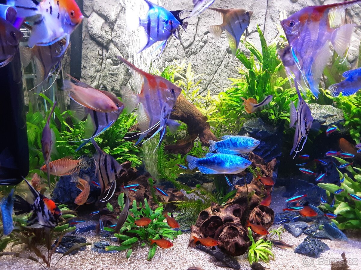 Akvárium sklo optiwhite - 6