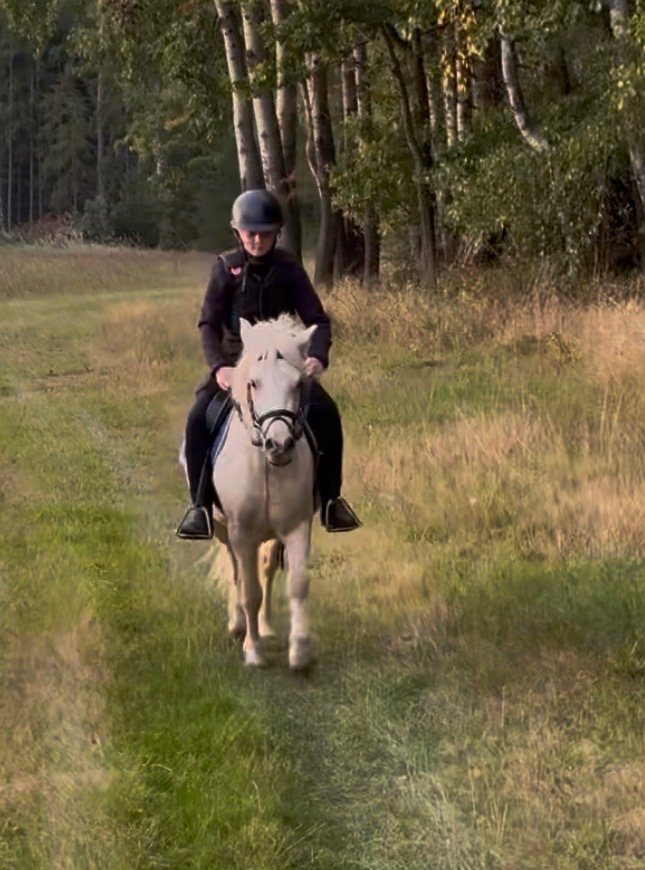 Prodám luxusního ponyho - 6