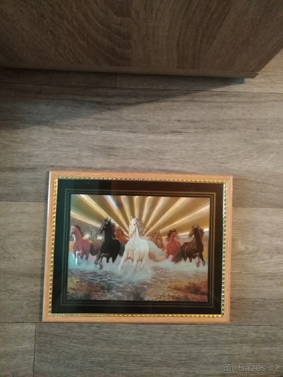 Obrazy koni - 6