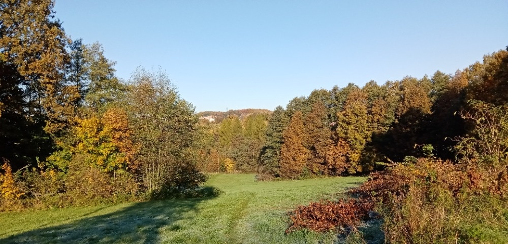 Petřvald 19 320 m2. - 6