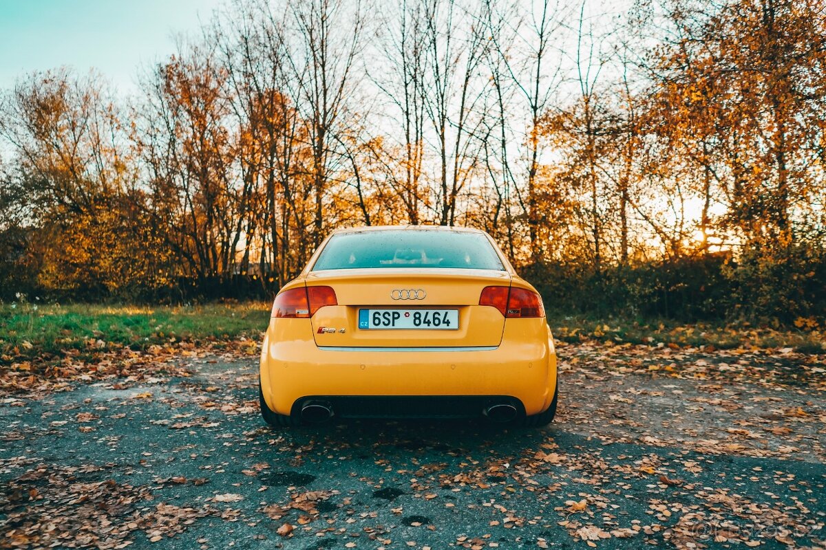 Audi RS4 B7 - 6