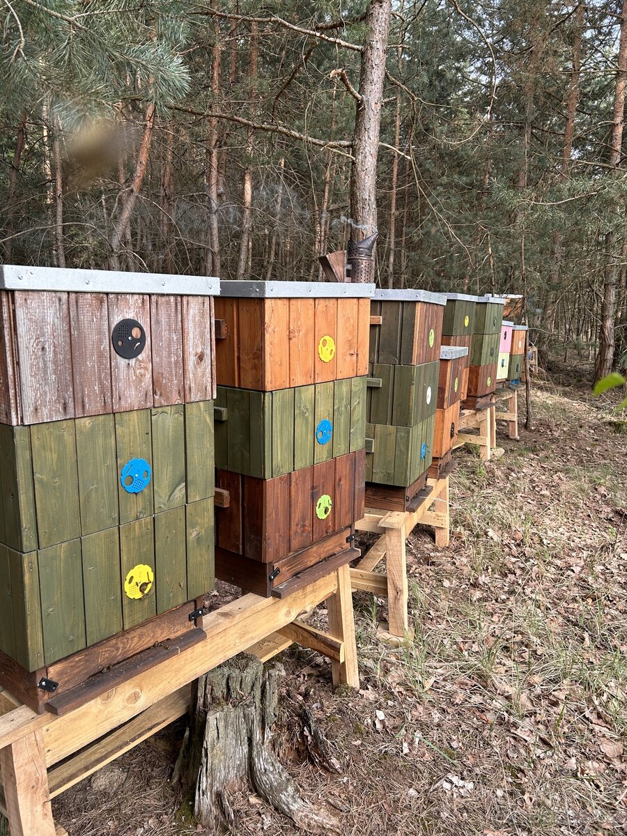 Včelí med a Medovina z Dobré Vody - 6