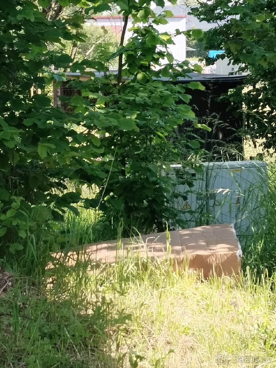 pronajem zahrady P R O N A J A T O volne 2/2026 - 6
