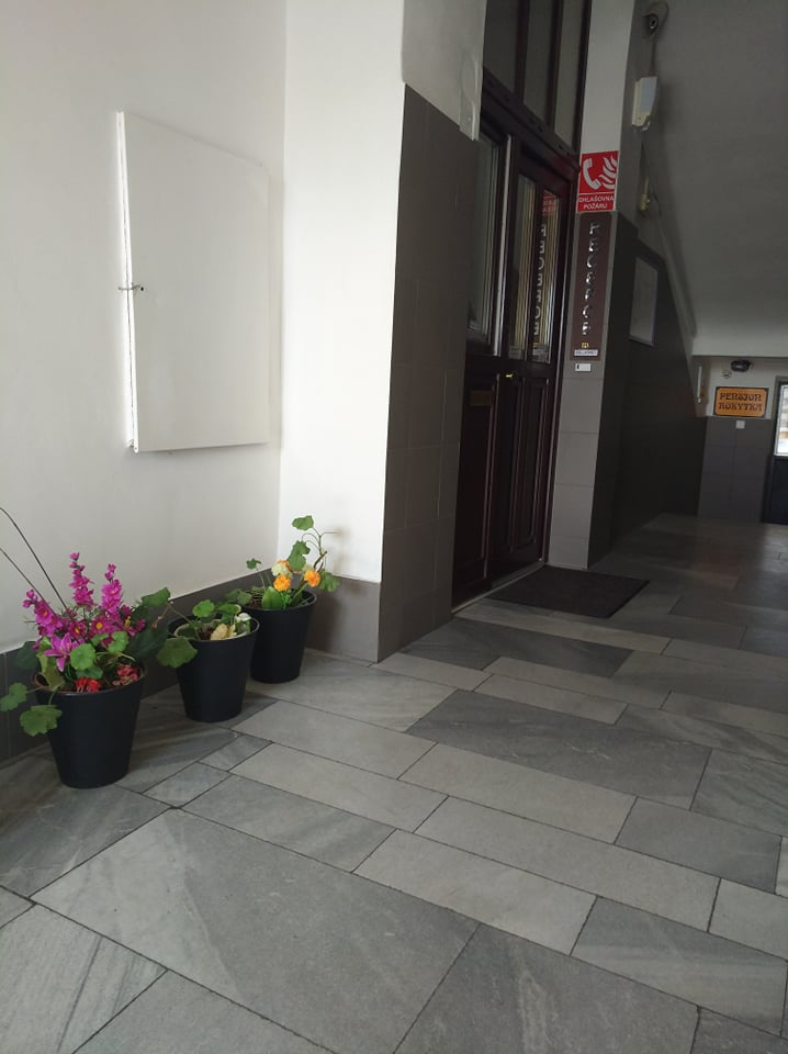 Levné ubytování- Praha 8, metro B-Palmovka - 6