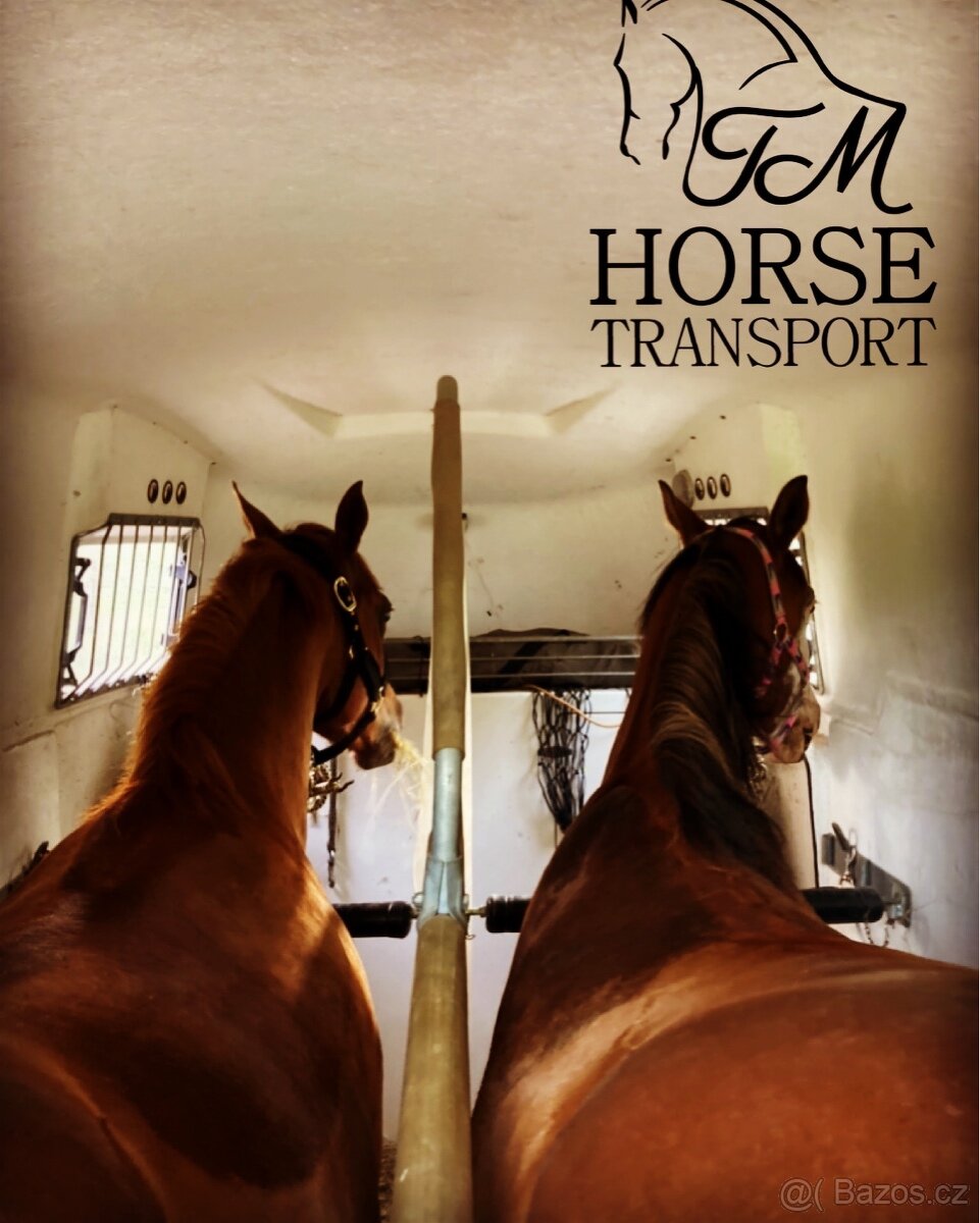 Přeprava koní - 6