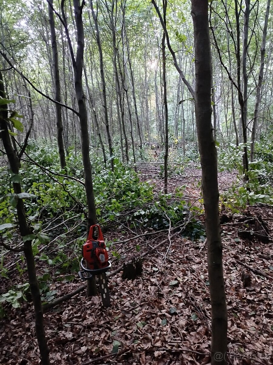 Lesnické práce - 6