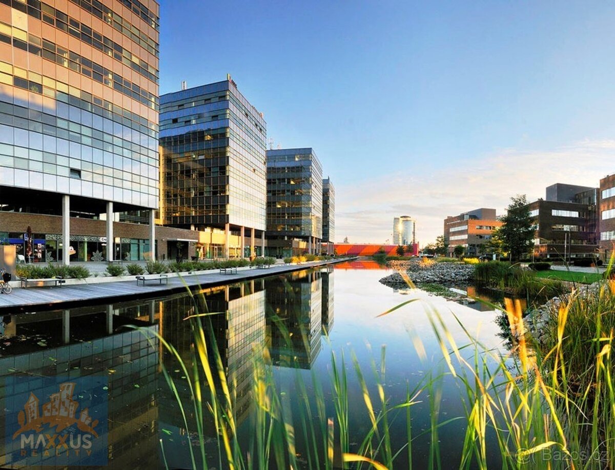 Praktický kancelářský prostor, 25 m2, ul. Holandská, centrum - 6