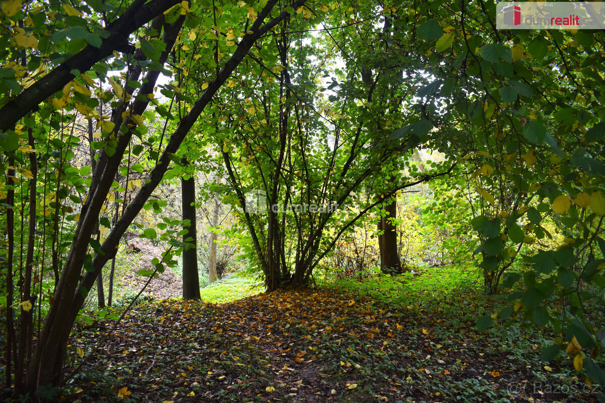 Stavební pozemek u rybnika, Beněšov, Bedrč – pohled 6