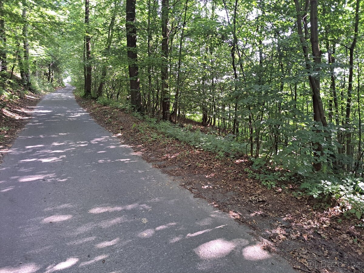 Exkluzivní prodej pozemku v Zubří - 6