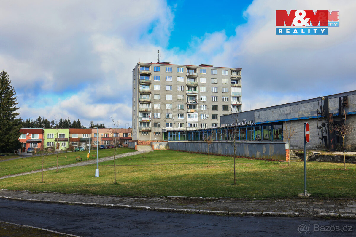 Prodej bytu 1+kk, 20 m², Rovná - 6