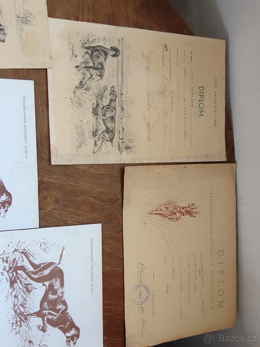 Myslivecké průkazy/diplomy - 6