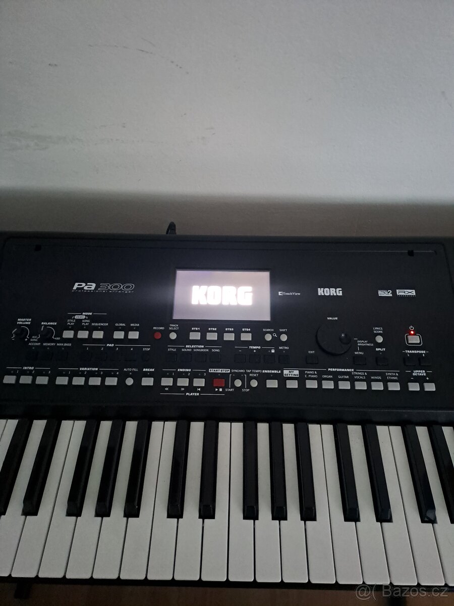 Vyměním korg pa 300 - 6