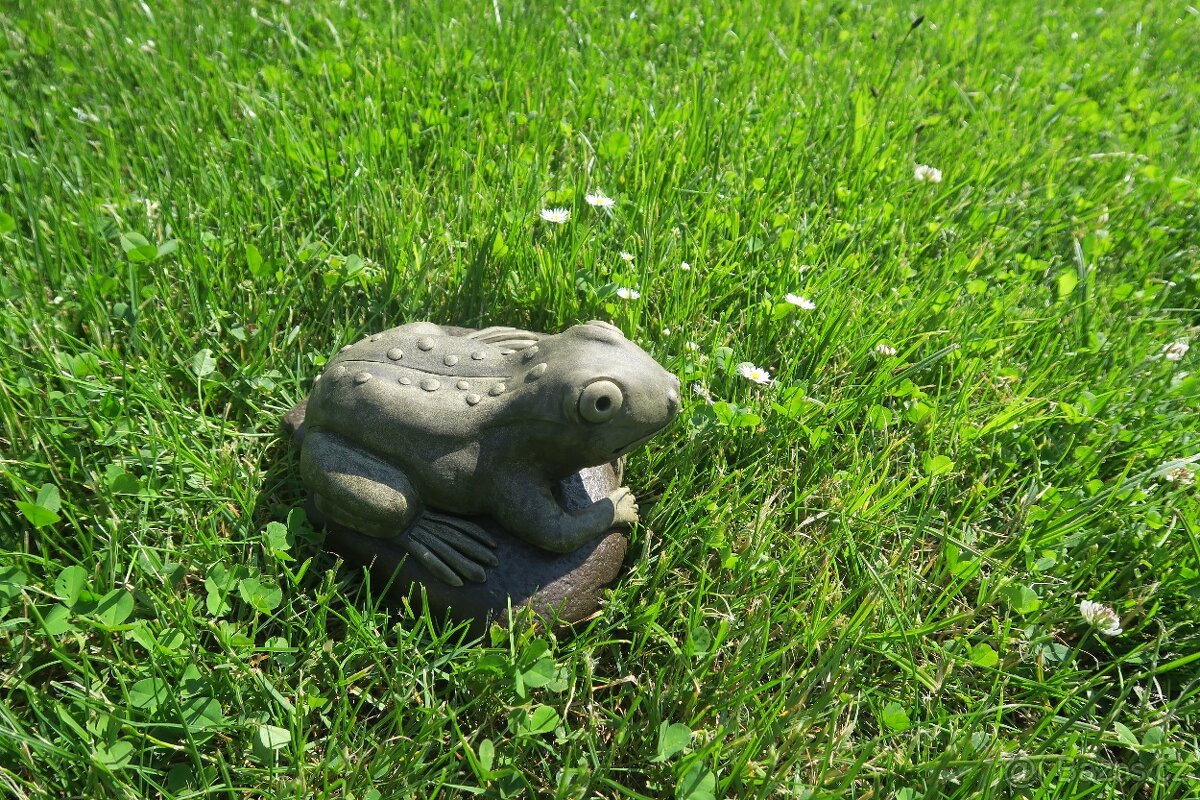 Zahradní dekorace - žába k jezírku, žabka, žába střední - 6